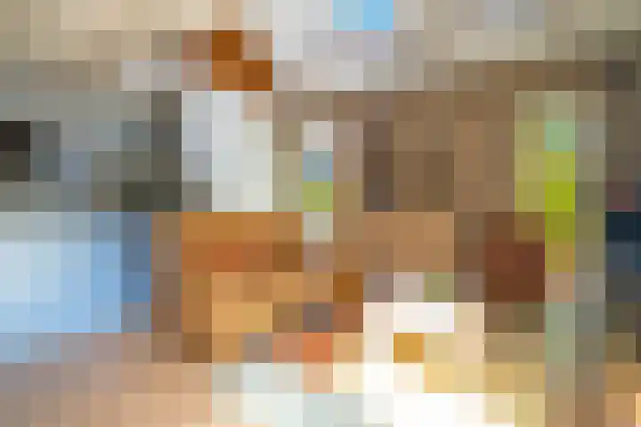 Beek en Brink 17 Zorgvlied thumbnail 9