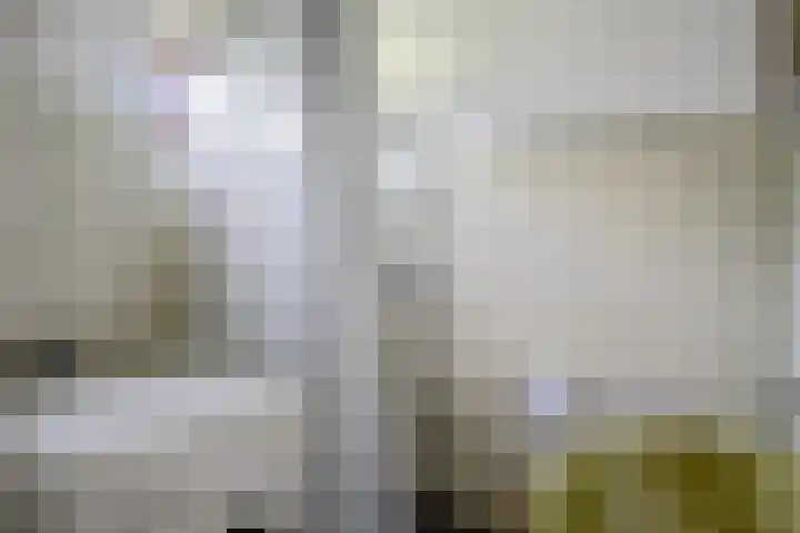 Beek en Brink 22 Zorgvlied thumbnail 13