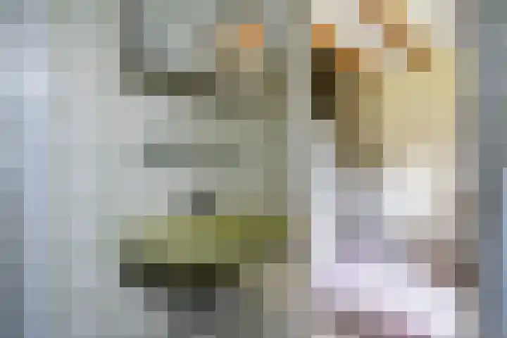 Beek en Brink 22 Zorgvlied thumbnail 15