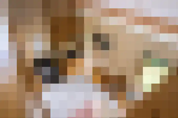 Beek en Brink 22 Zorgvlied thumbnail 17