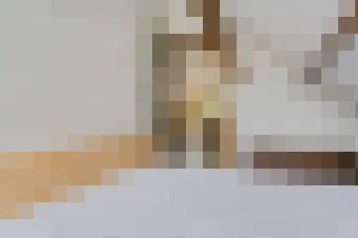 Beek en Brink 22 Zorgvlied thumbnail 20