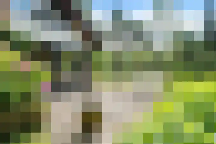 Beek en Brink 22 Zorgvlied thumbnail 23