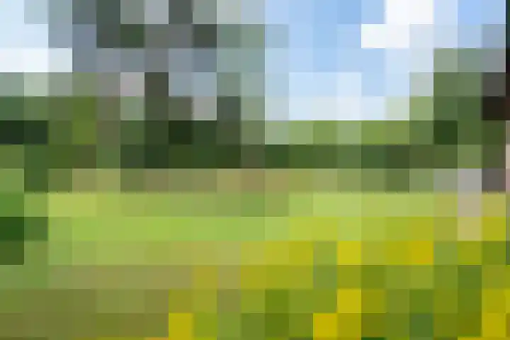 Beek en Brink 22 Zorgvlied thumbnail 24
