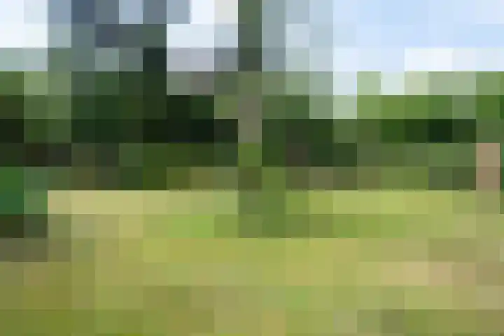 Beek en Brink 22 Zorgvlied thumbnail 25