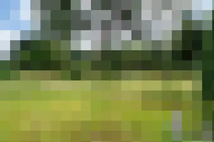 Beek en Brink 22 Zorgvlied thumbnail 26
