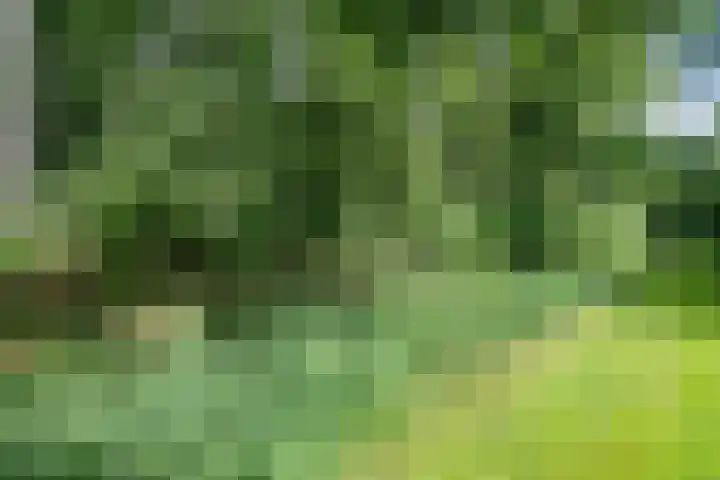 Beek en Brink 22 Zorgvlied thumbnail 27