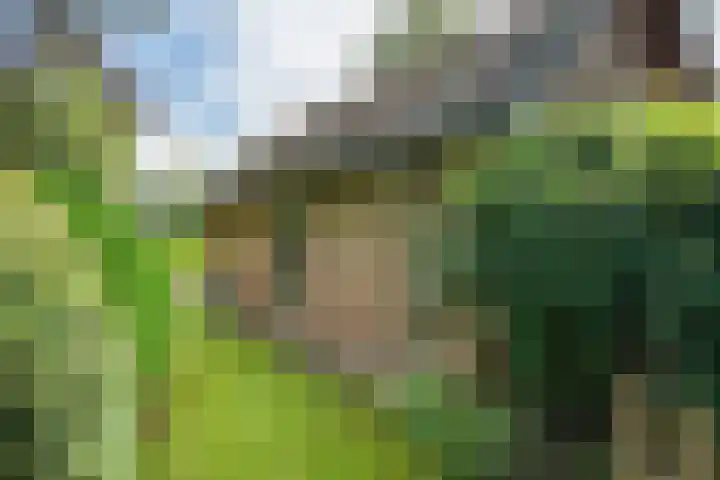 Beek en Brink 22 Zorgvlied thumbnail 28