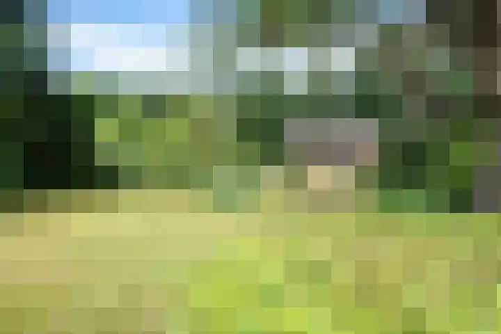 Beek en Brink 22 Zorgvlied thumbnail 30