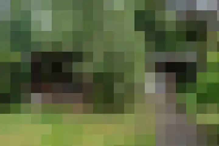 Beek en Brink 22 Zorgvlied thumbnail 31