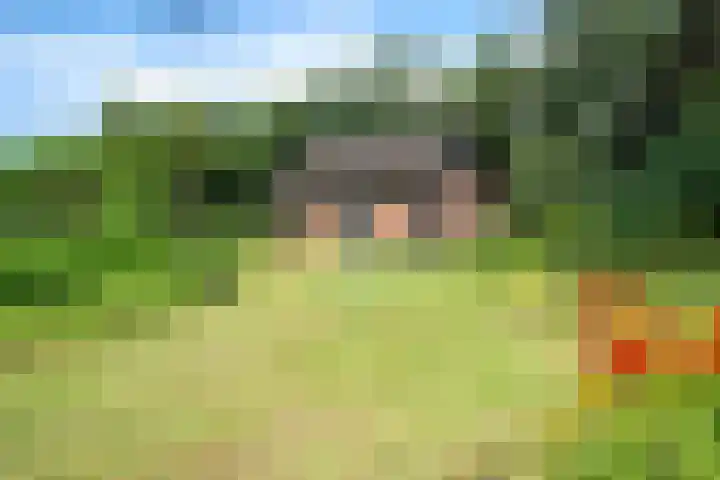 Beek en Brink 22 Zorgvlied thumbnail 33