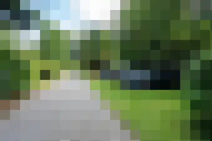 Beek en Brink 22 Zorgvlied thumbnail 34
