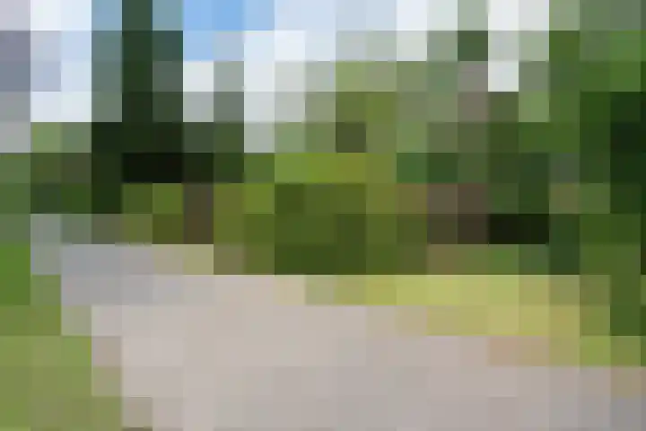 Beek en Brink 22 Zorgvlied thumbnail 35