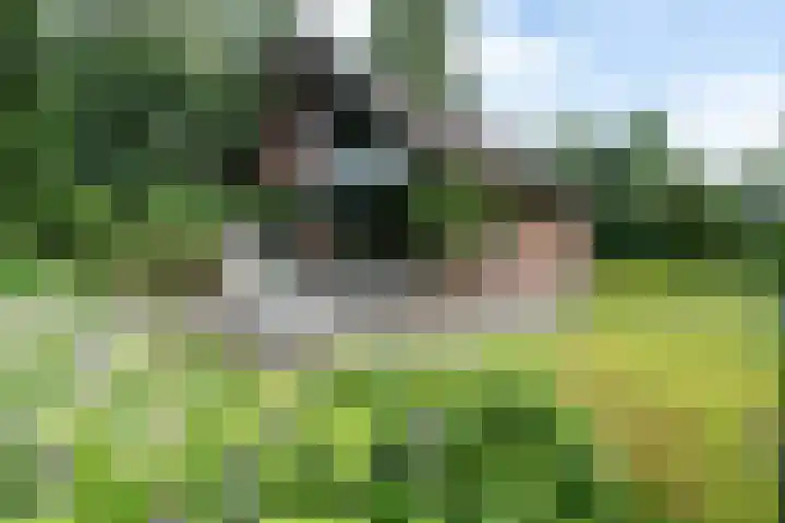 Beek en Brink 22 Zorgvlied thumbnail 40