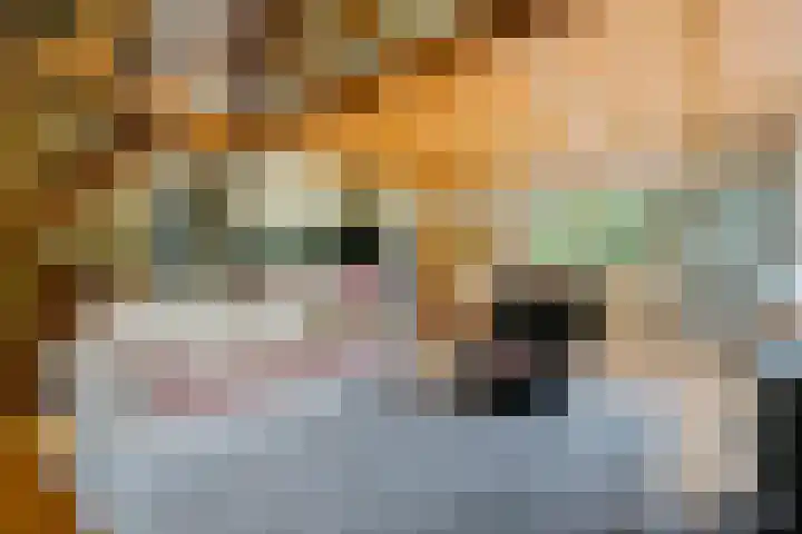 Beek en Brink 22 Zorgvlied thumbnail 5