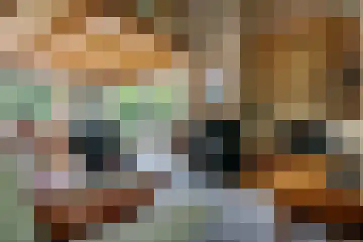 Beek en Brink 22 Zorgvlied thumbnail 6