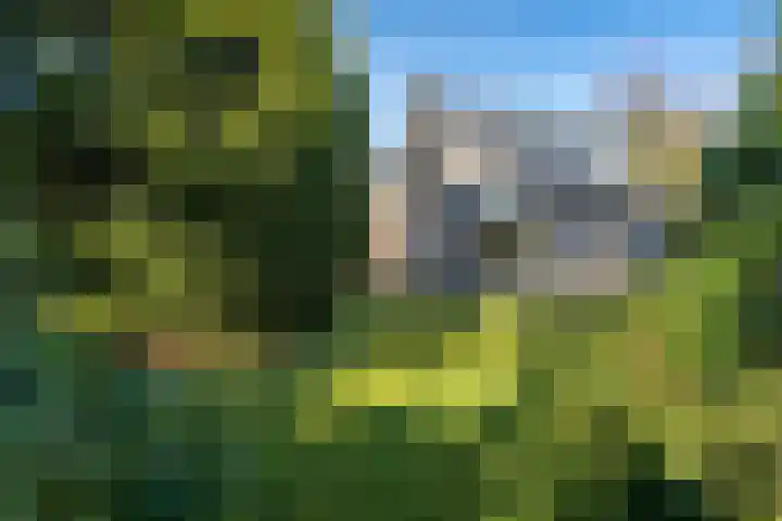 Beek en Brink 30 Zorgvlied thumbnail 25