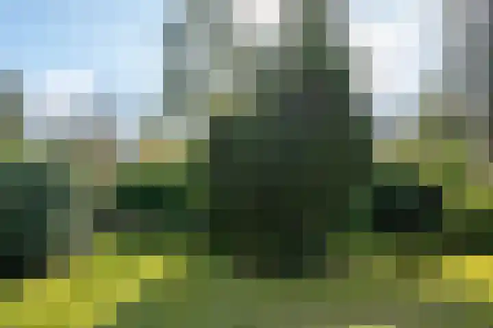 Beek en Brink 30 Zorgvlied thumbnail 26