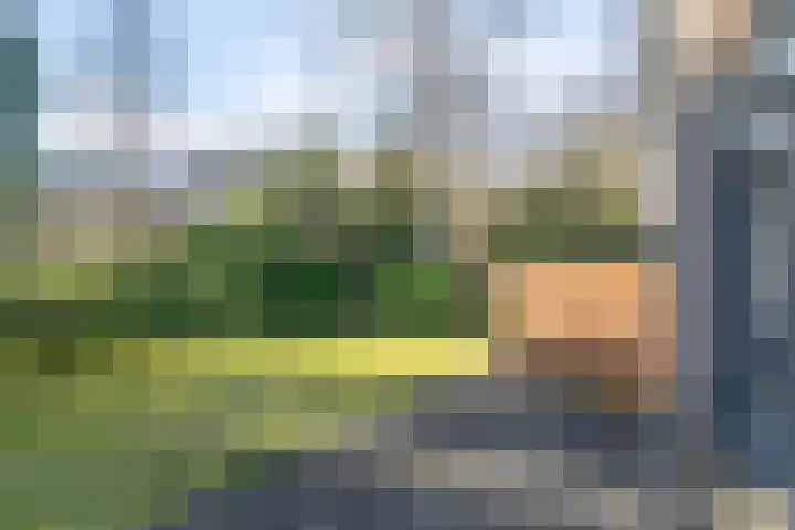 Beek en Brink 30 Zorgvlied thumbnail 27