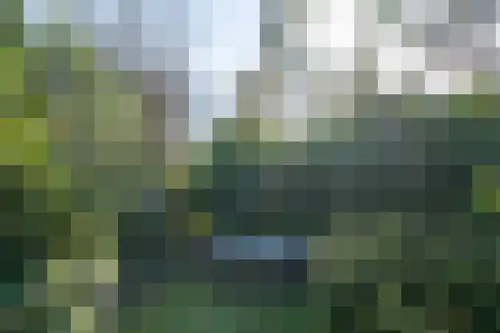Beek en Brink 30 Zorgvlied thumbnail 28