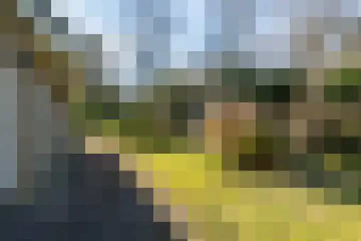 Beek en Brink 30 Zorgvlied thumbnail 31