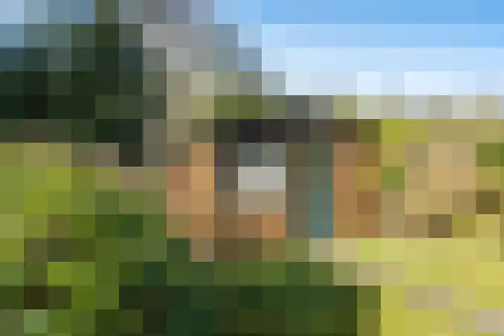 Beek en Brink 30 Zorgvlied thumbnail 33