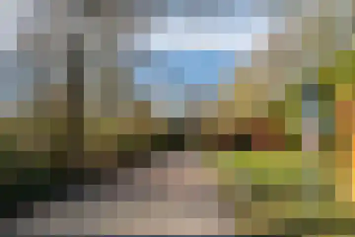 Beek en Brink 30 Zorgvlied thumbnail 36