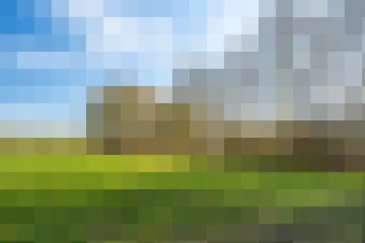 Beek en Brink 30 Zorgvlied thumbnail 37