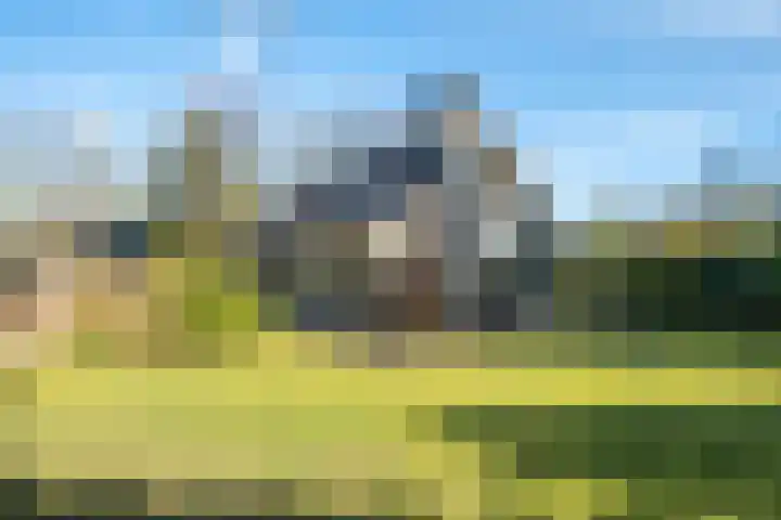 Beek en Brink 30 Zorgvlied thumbnail 5