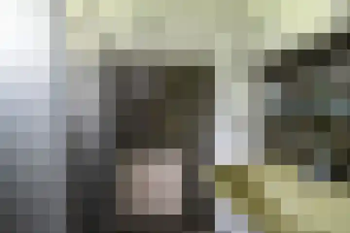 Beek en Brink 31 Zorgvlied thumbnail 13