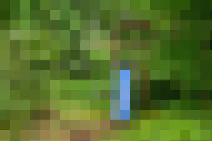 Beek en Brink 31 Zorgvlied thumbnail 24