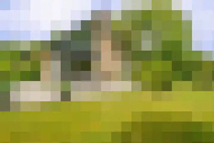 Beek en Brink 31 Zorgvlied thumbnail 27