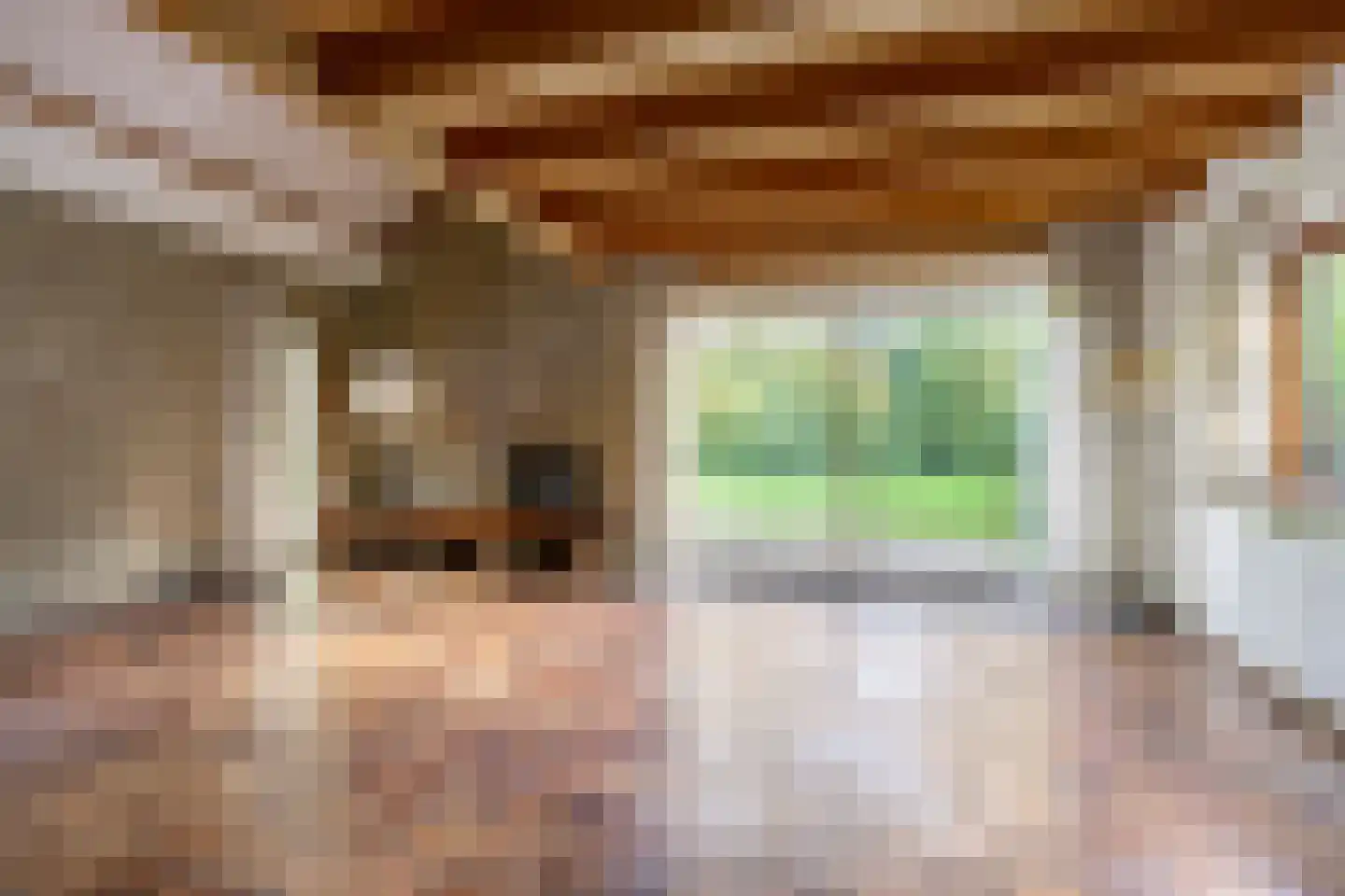 Beek en Brink 4 Zorgvlied thumbnail 11