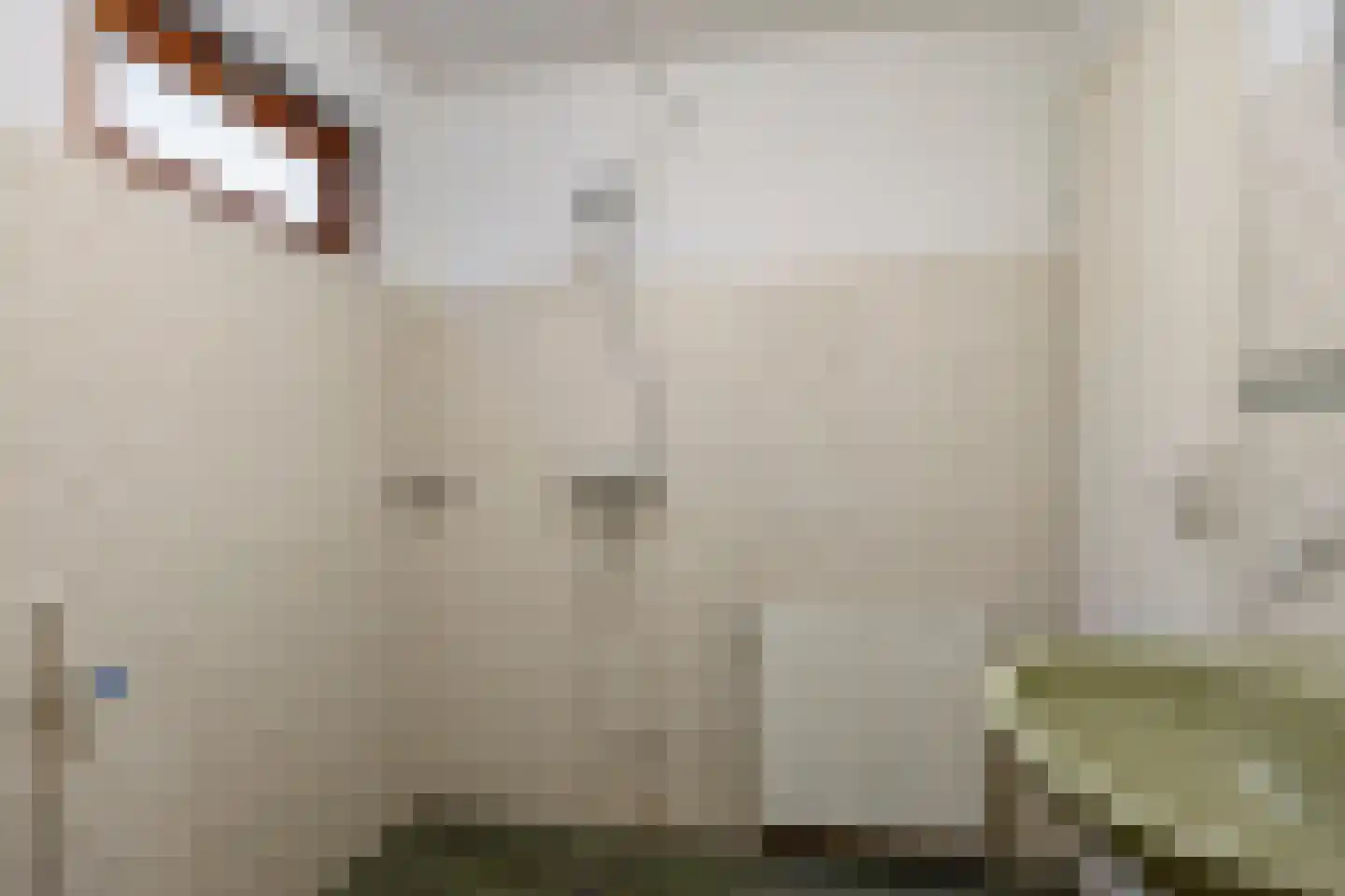Beek en Brink 4 Zorgvlied thumbnail 15