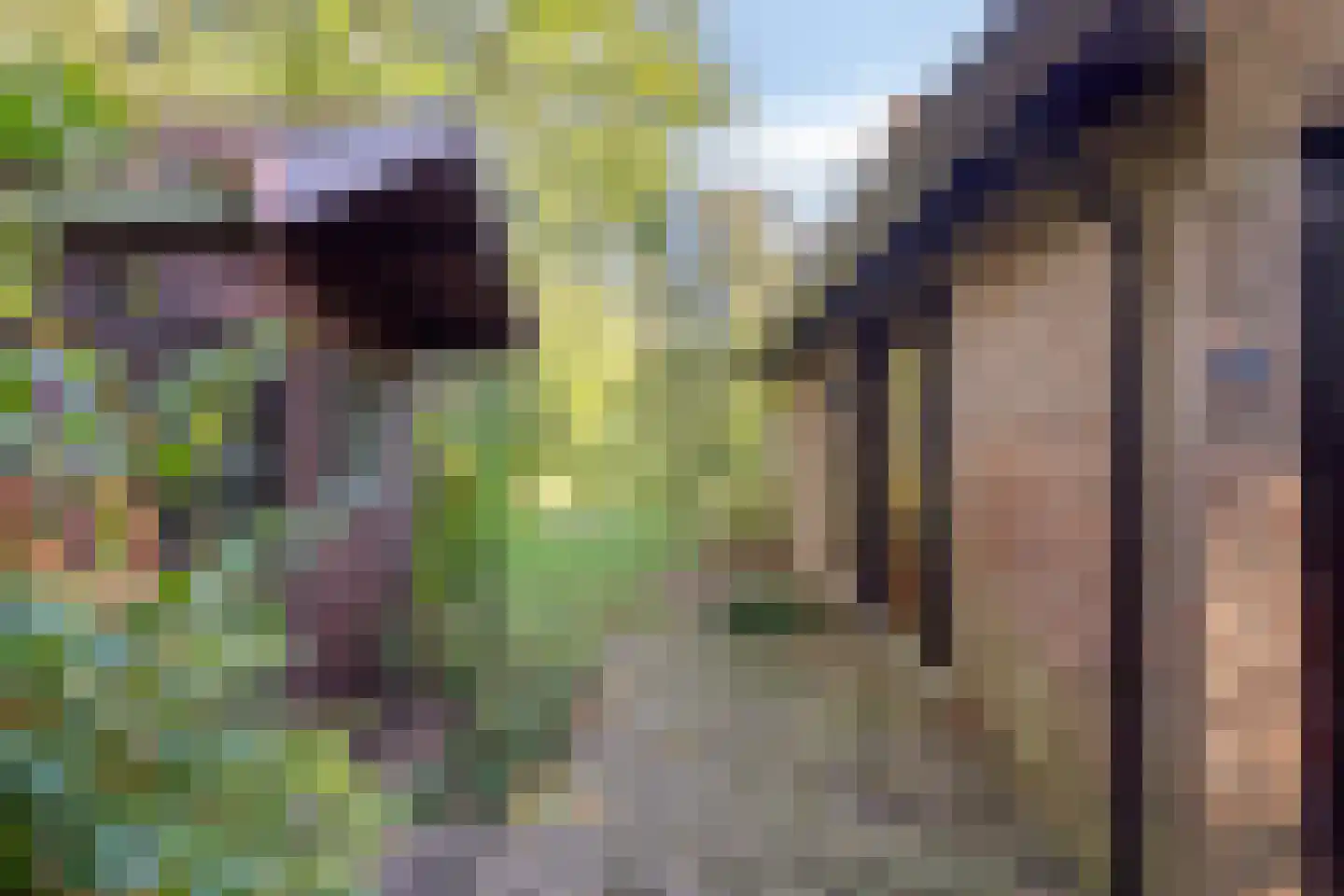 Beek en Brink 4 Zorgvlied thumbnail 27