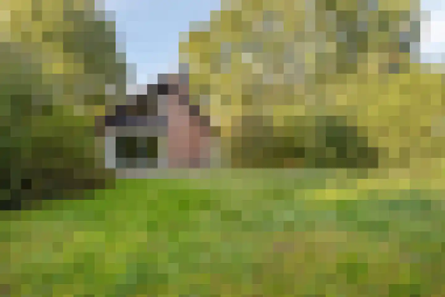 Beek en Brink 4 Zorgvlied thumbnail 29