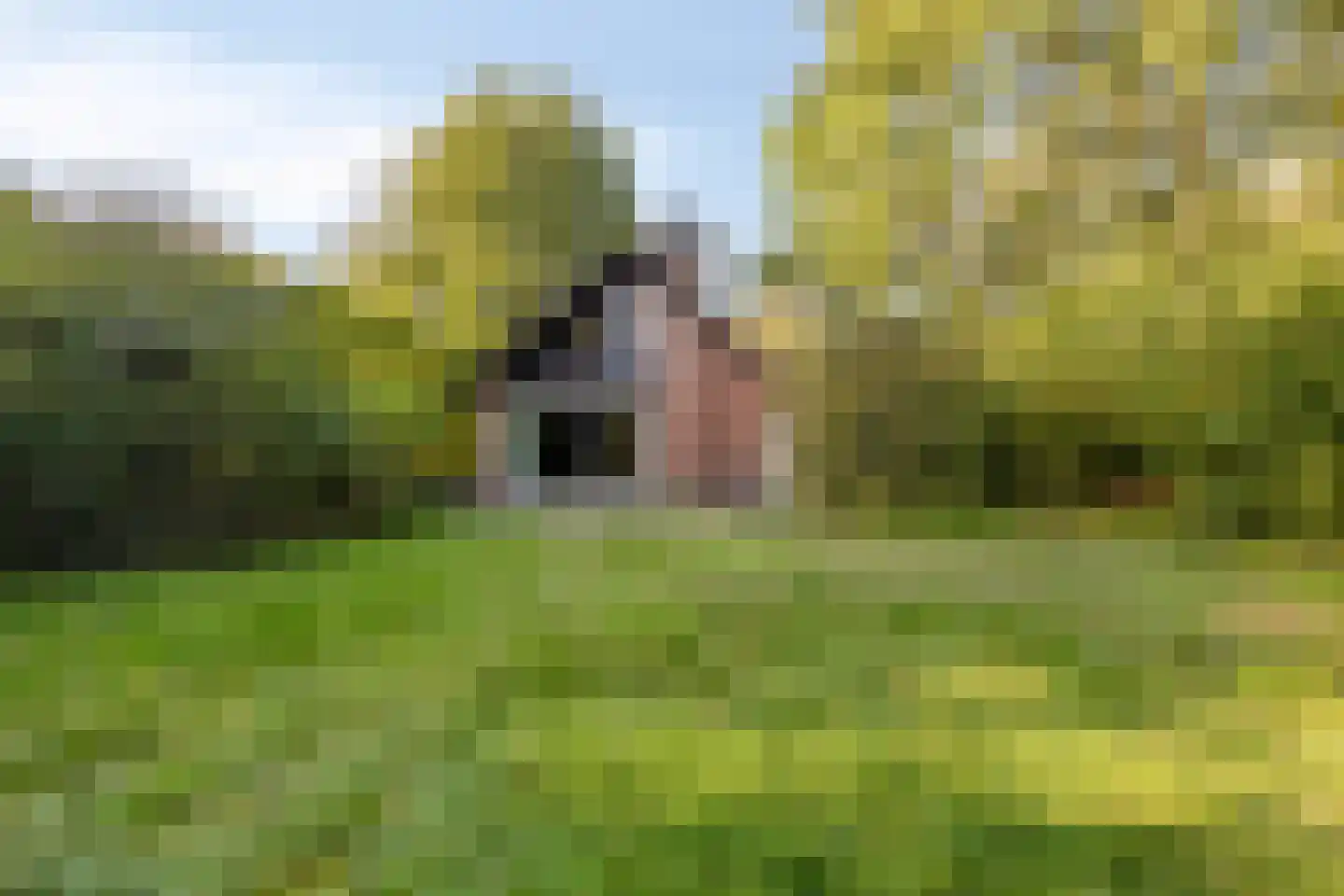 Beek en Brink 4 Zorgvlied thumbnail 30