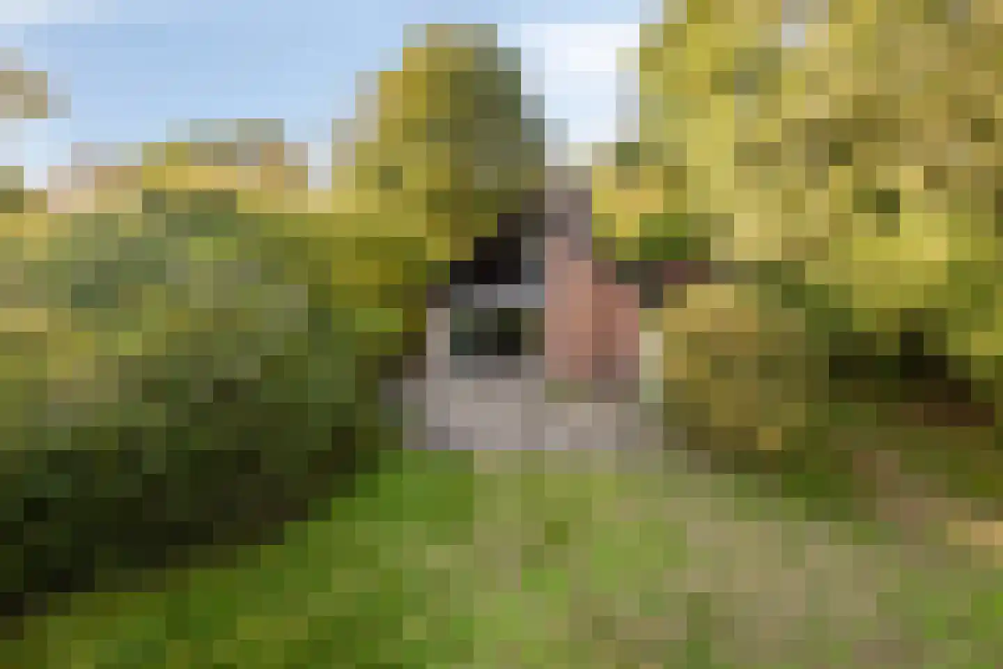 Beek en Brink 4 Zorgvlied thumbnail 31