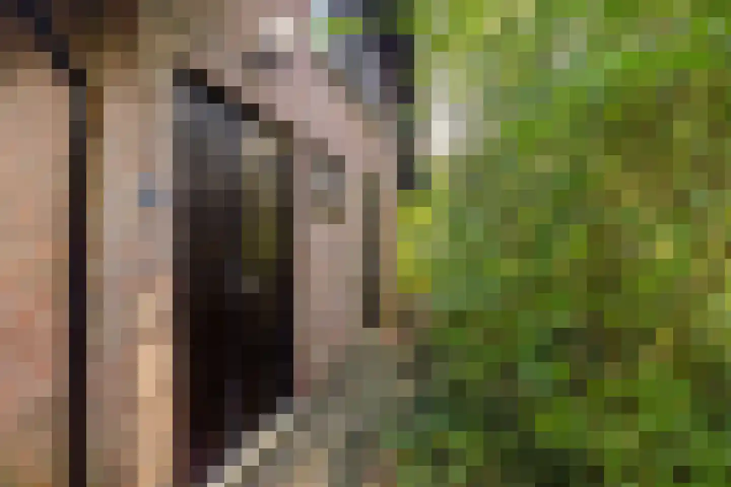 Beek en Brink 4 Zorgvlied thumbnail 33