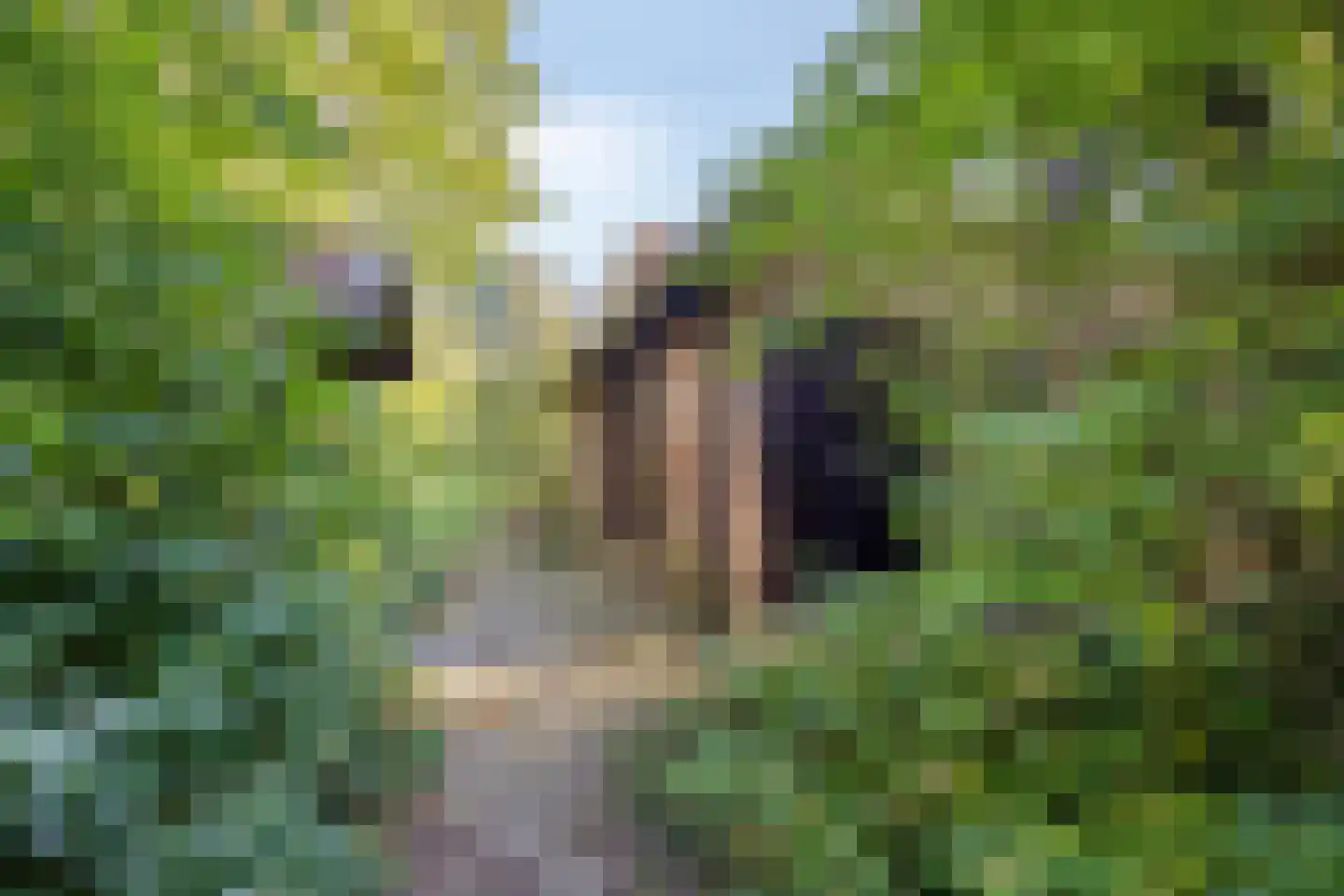 Beek en Brink 4 Zorgvlied thumbnail 34