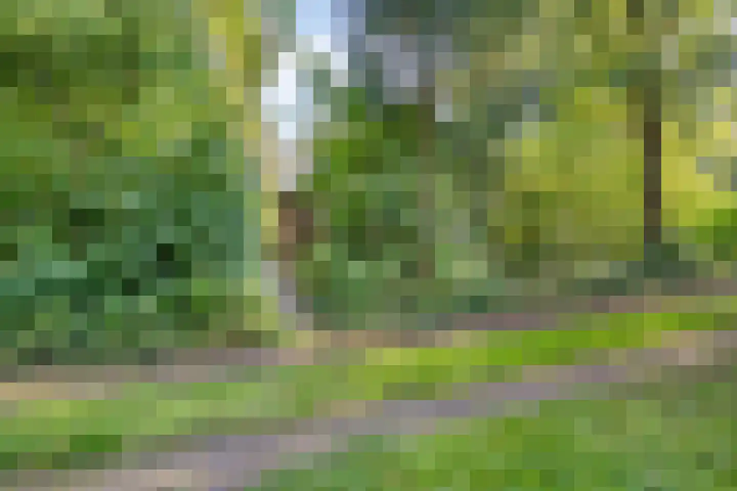 Beek en Brink 4 Zorgvlied thumbnail 35