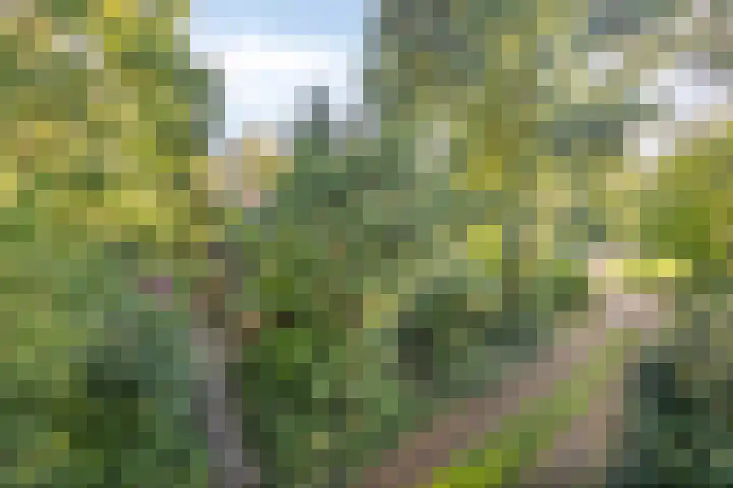 Beek en Brink 4 Zorgvlied thumbnail 36