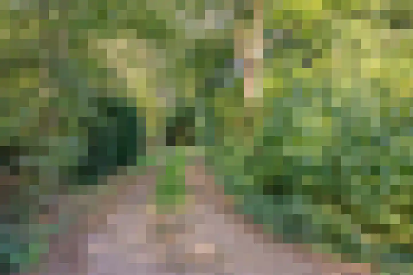 Beek en Brink 4 Zorgvlied thumbnail 37