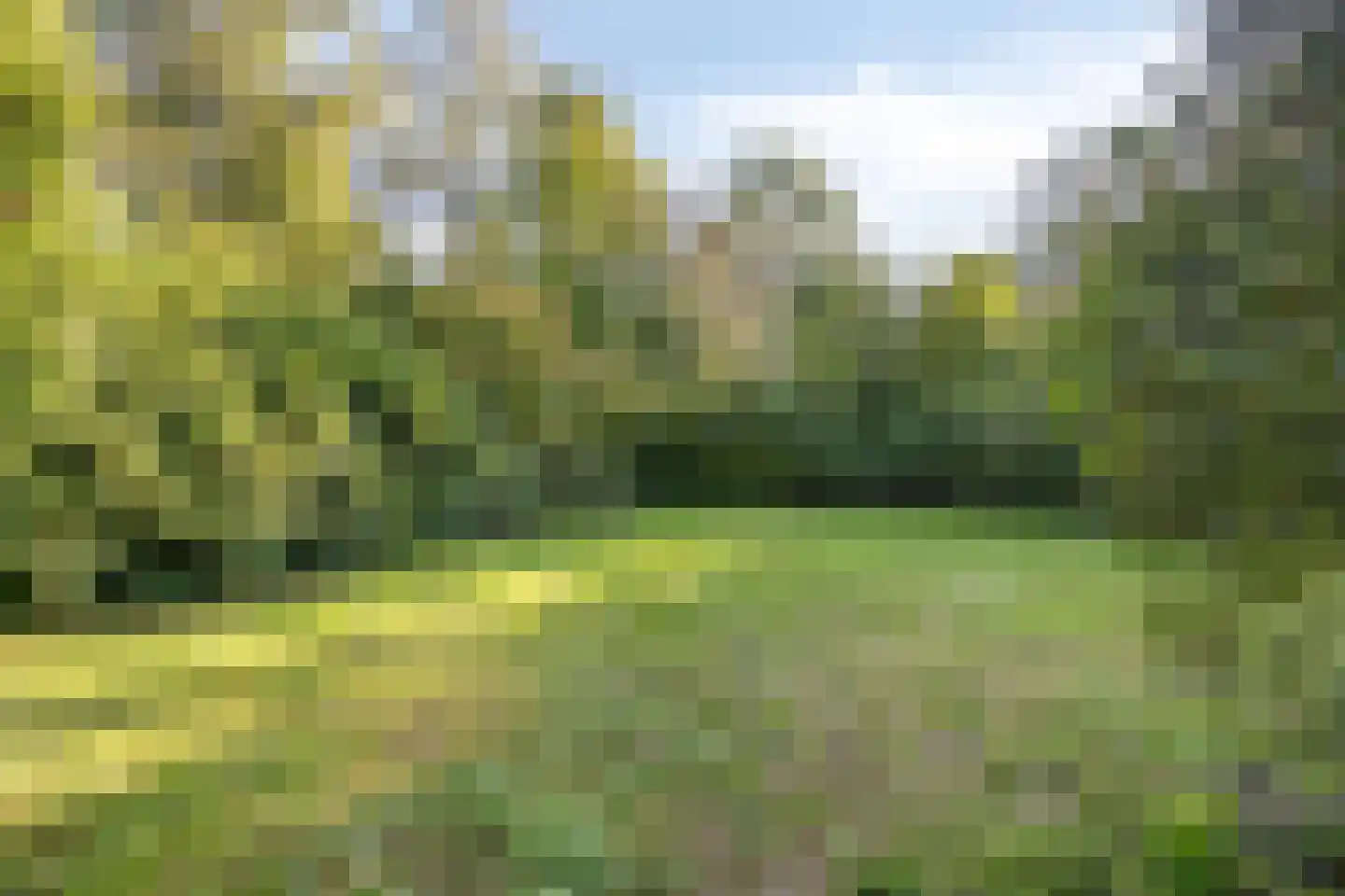 Beek en Brink 4 Zorgvlied thumbnail 4