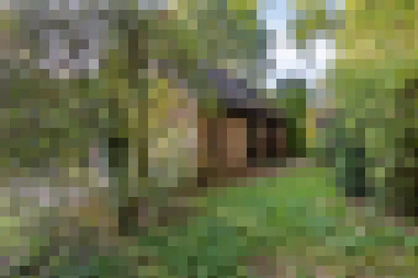 Beek en Brink 4 Zorgvlied thumbnail 5