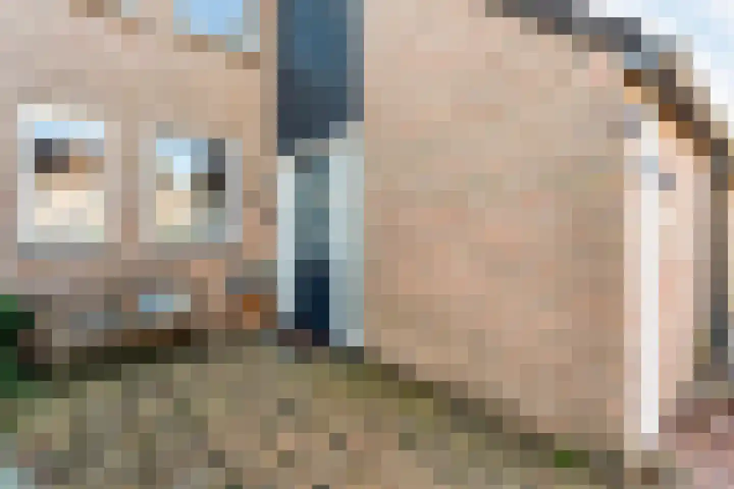 Beekberg 106 Hardenberg thumbnail 4