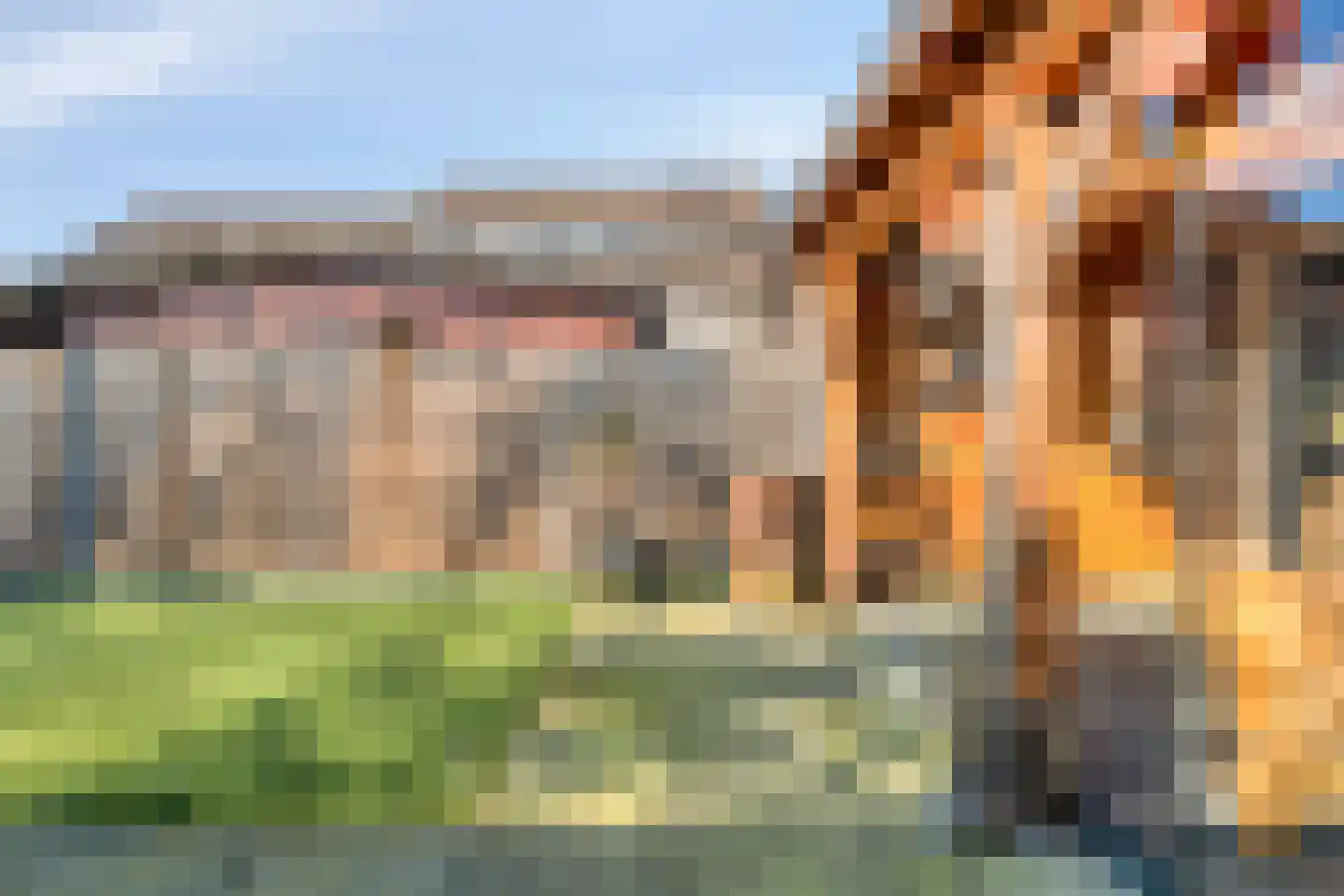 Beekberg 106 Hardenberg thumbnail 43