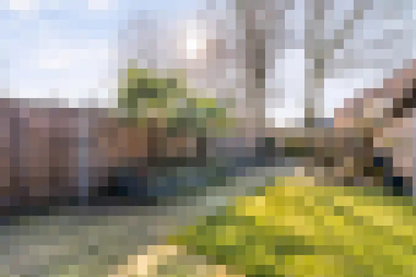 Beekberg 106 Hardenberg thumbnail 44