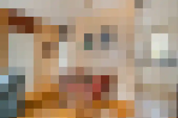 Beekberg 121 Hardenberg thumbnail 13