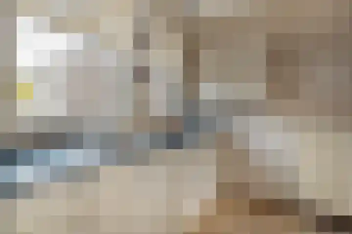 Beekberg 121 Hardenberg thumbnail 15