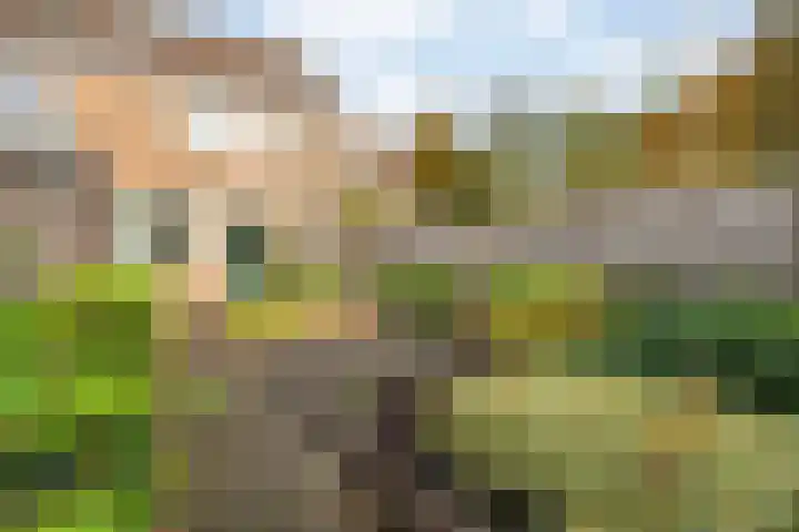 Beekberg 121 Hardenberg thumbnail 30
